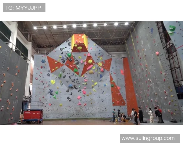 武汉攀岩队荣登全国攀岩意识排行榜第七位展现实力与潜力